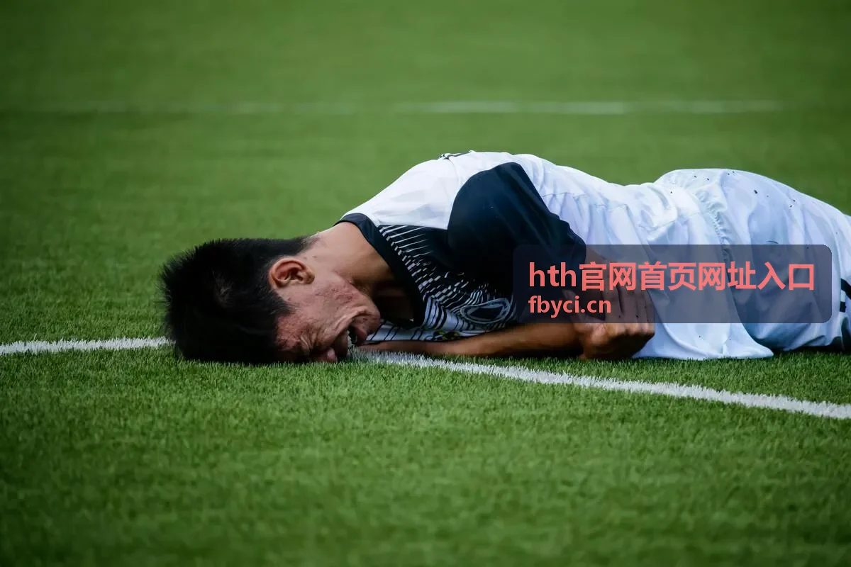 hth官网首页网址入口 使用帮助条目封面