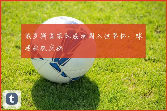 俄罗斯国家队成功闯入世界杯，球迷狂欢庆祝