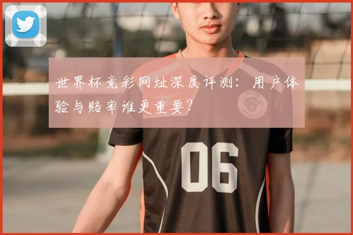 世界杯竞彩网址深度评测：用户体验与赔率谁更重要？