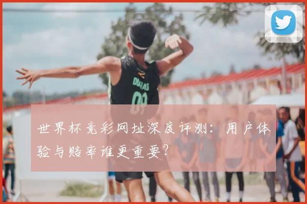 世界杯竞彩网址深度评测：用户体验与赔率谁更重要？